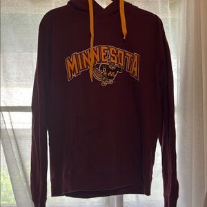 Champion Brown and Yellow Sweatshirt Hoodie
